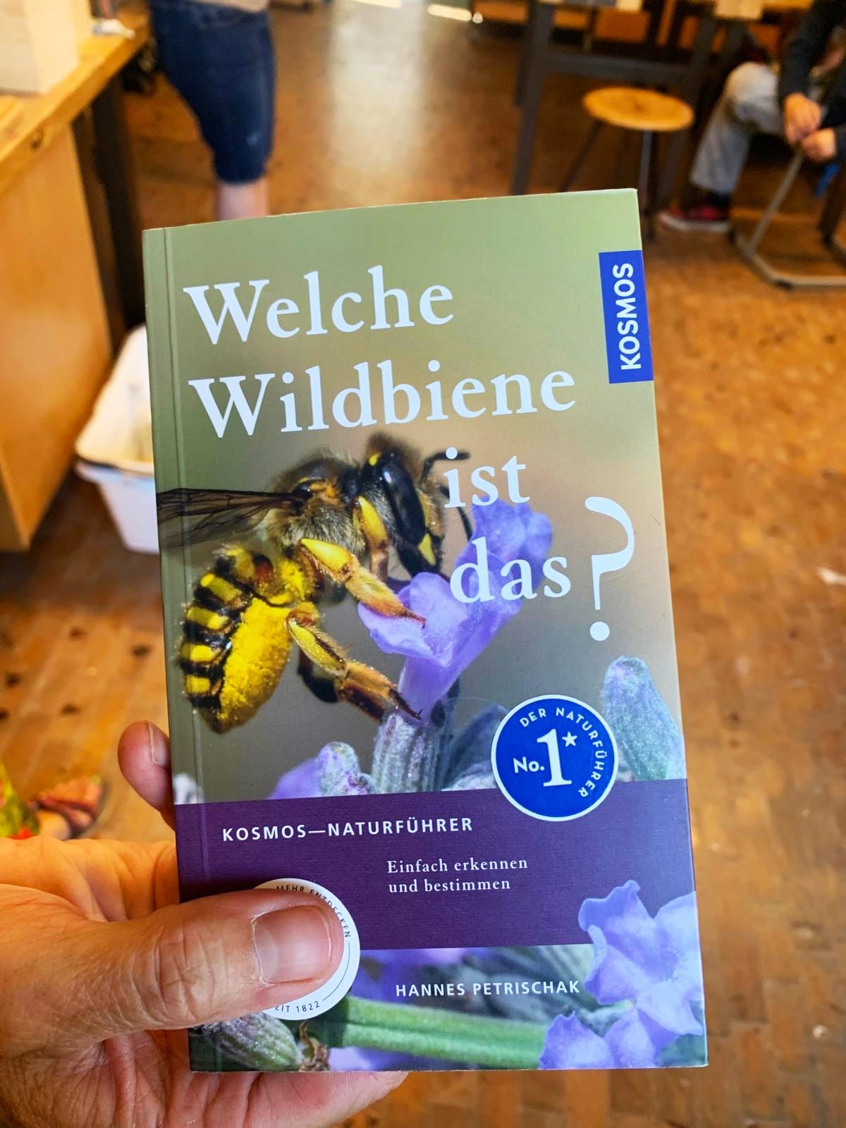 Der Jahrgang 7 beschäftigte sich mit Lebensräumen von Bienen und baute Bienenhotels in der Vorhabenwoche 2025
