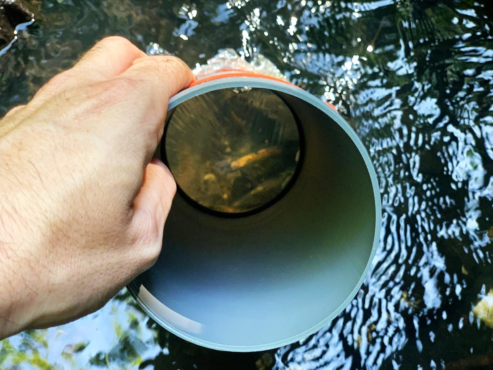 Jahrgang 7 untersuchte einen Fluss in der Vorhabenwoche 2025